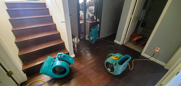 Best Carpet water damage restoration  in Valley Hill, NC